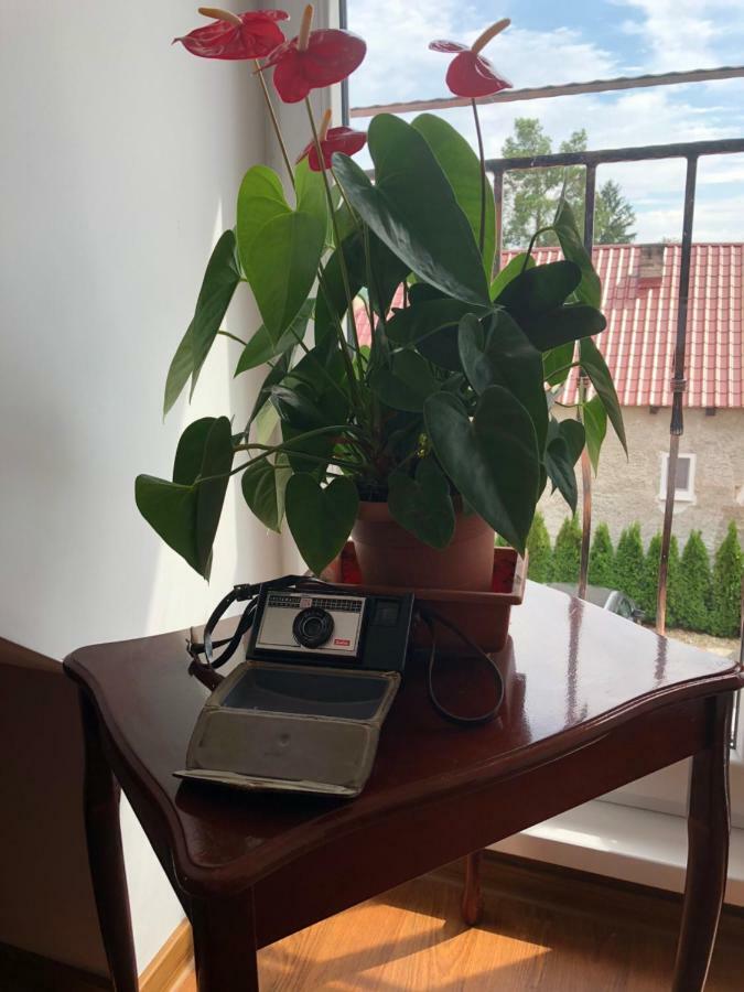 Vila Maria Rapovce Extérieur photo